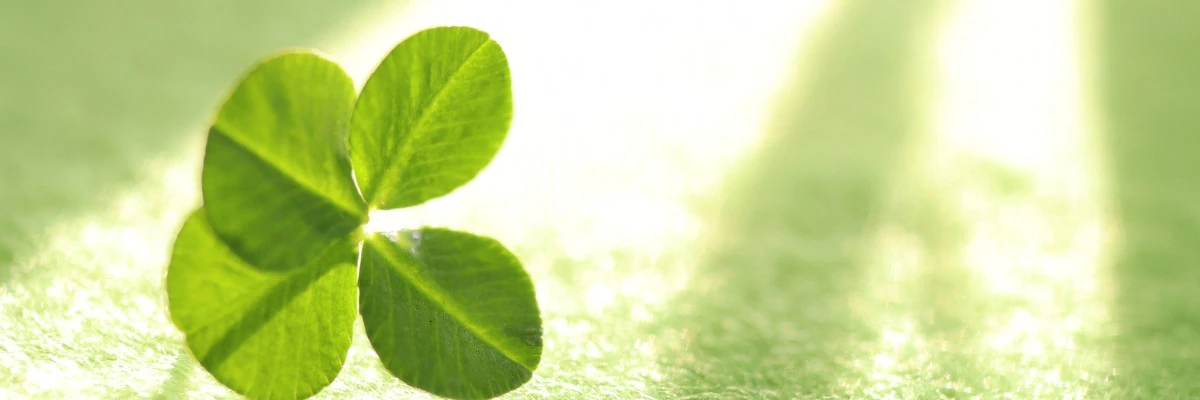 ウィキャン株式会社ポリシー